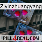 Ziyinzhuangyang 14